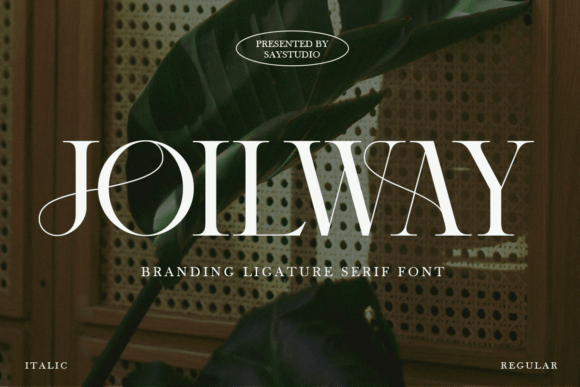 An Expert Review of the Joilway Serif Font